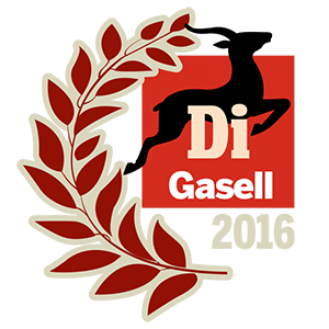Dagens Industri Gasell utmärkelse 2016